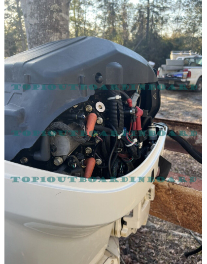 2010 EVINRUDE E-TEC 115 HP 2 STROKE OUTBOARD MOTOR  2010 EVINRUDE E-TEC 115 HP 2 STROKE OUTBOARD MOTOR