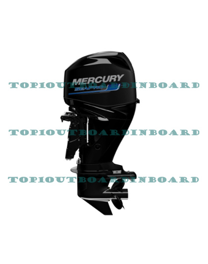  2023 Mercury 40ELPT SeaPro Command Thrust