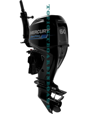 2023 Mercury 60EXLHPT SeaPro Command Thrust Tiller FOR SALE