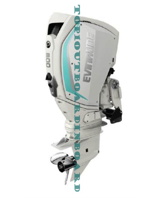  2020 Evinrude 300 HP - H300WZI FOR SALE!!