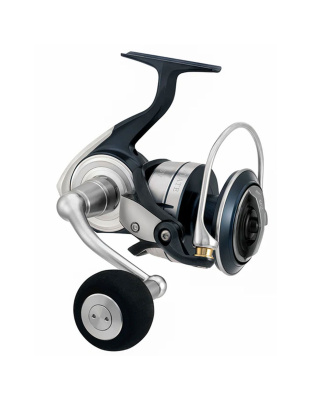 DAIWA CERTATE SW REELS SALE!!
