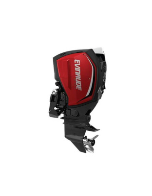 EVINRUDE 300 HP H300WZC OUTBOARD MOTOR 2020 SALE!!